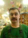 Александр, 41 год, Богородицк