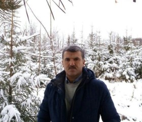 Ilgar, 48 лет, Bərdə