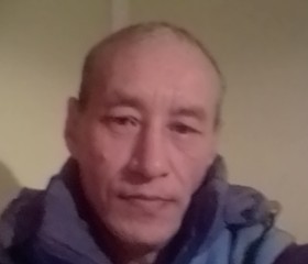 Сергей, 46 лет, Алтайский
