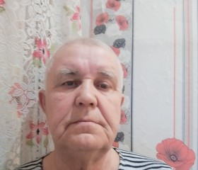 Николай, 68 лет, Осинники