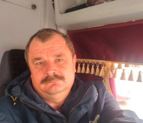 Александр, 44 года, Платнировская
