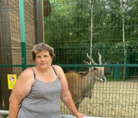 Ольга, 53 года, Курск