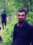 heijan, 29 лет, Bitlis