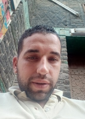 عمرو البحيري, 29, جمهورية مصر العربية, القاهرة