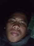 joey conzaga, 29 лет, Lungsod ng San Fernando (Ilocos)