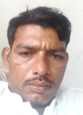 sefdar, 39, پاکستان, سرگودھا