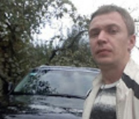 Роман, 39 лет, Київ