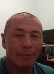 Асантур Турусбек, 52 года, Бишкек