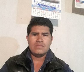 Ramon, 31 год, México Distrito Federal