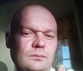 Алексей, 40 лет, Орша