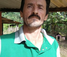 Darci.marafigo, 46 лет, Curitiba