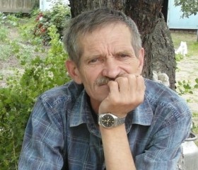 Василий, 68 лет, Тамбов