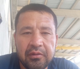 Максуд, 38 лет, Toshkent