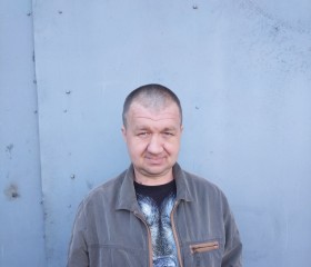 Дима, 43 года, Подпорожье