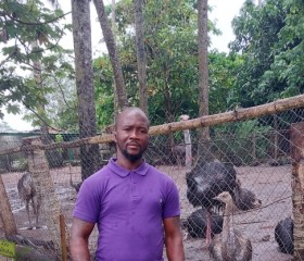 Ravanely, 38 лет, Abidjan