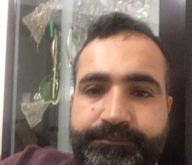 serhat, 39 лет, Sultangazi