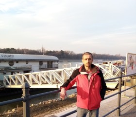 Сергей Шикман, 29 лет, Budapest