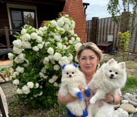 Nataliya, 58, Ivanteyevka (MO)