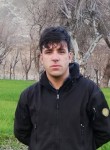 Nasratullah, 20 лет, اسد آباد