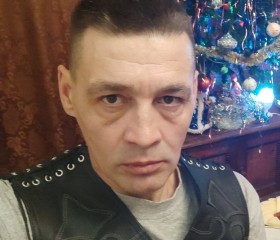 Семён Евграфов, 48 лет, Барнаул