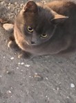 Аша - Железноводск