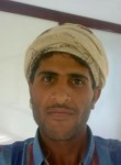 بشار, 28 лет, صنعاء