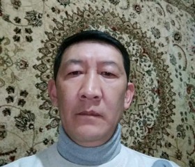 Роман, 55 лет, Алматы