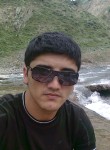 Имран, 34 года, Toshkent