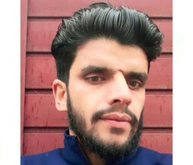 Tahir raja, 26 лет, Srinagar (Jammu and Kashmir)