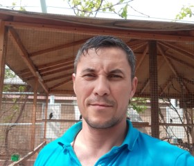Рустам, 48 лет, Toshkent