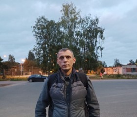 Роман, 44 года, Санкт-Петербург