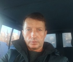 Владимир, 51 год, Озёрск (Челябинская обл.)