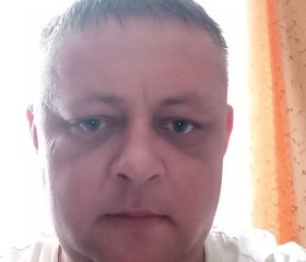 Андрей Губко, 40 лет, Віцебск