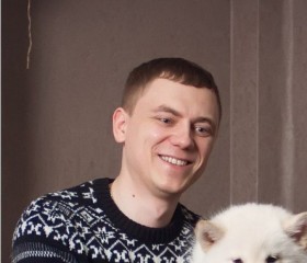 Дмитрий, 31 год, Верхняя Пышма