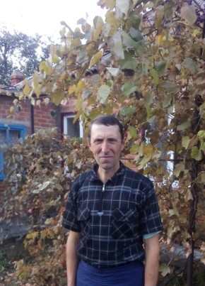 Володимир, 52, Україна, Кегичівка