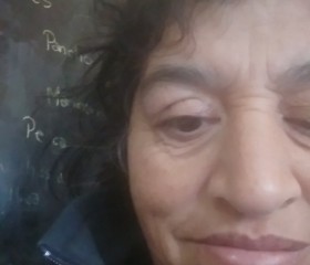 Jorgelina ormeño, 50 лет, Mendoza