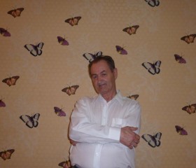 Михаил, 71 год, Нижний Новгород
