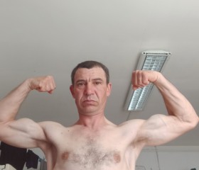 Vasea Cordineanu, 46 лет, Praha