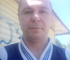 Андрей, 54 года, Саратов