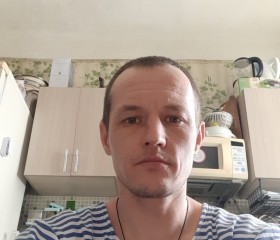 Алексей, 39 лет, Красные Баки