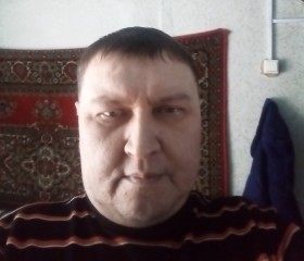 Владислав Боляев, 49 лет, Красноярск