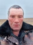 Александр, 45 лет, Ставрополь