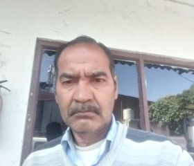 gopal negi, 52 года, New Delhi