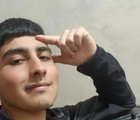 Enzo, 18, Tigre