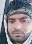 Imran, 24 года, Meerut