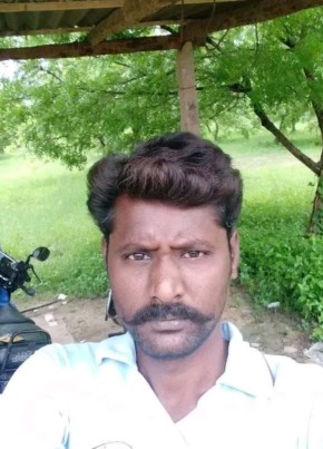 Palpandi, 43, India, Tiruttangal
