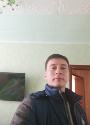 Алексей, 41, Россия, Сенгилей