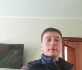 Алексей, 41 год, Сенгилей
