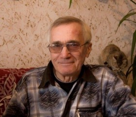 леонид, 71 год, Омск