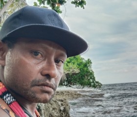 Tiger wills, 32, Jayapura